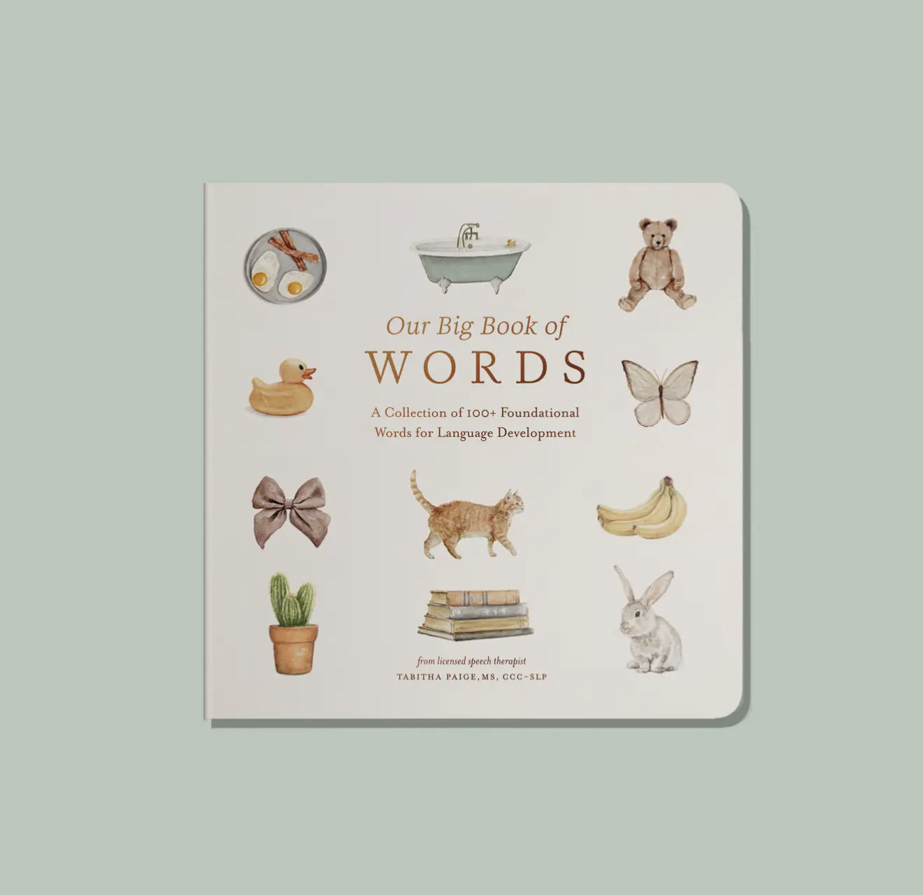Our Big Book of First Words