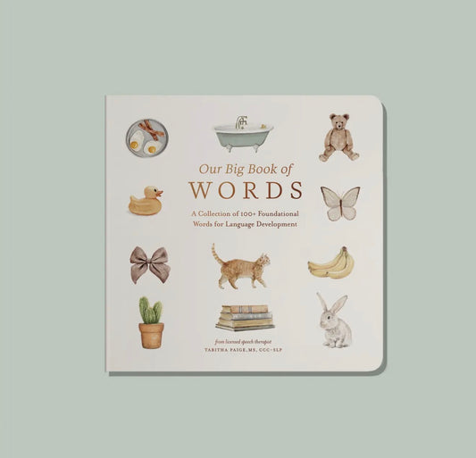 Our Big Books of Words